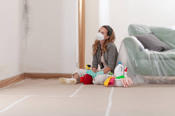Reliable Basement Mold Remediation contractor in Ashburn, VA by Mold Remediation HQ